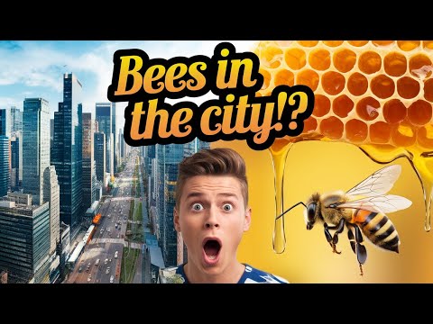 Bees in the CITY?! The SHOCKING Rise of Urban Beekeeping