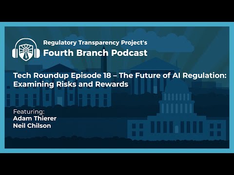 The Future of AI Regulation Examining Risks and Rewards