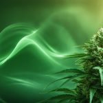 IIPR Navigates Cannabis Industry Waves with Strategic Vision and Strong Leadership